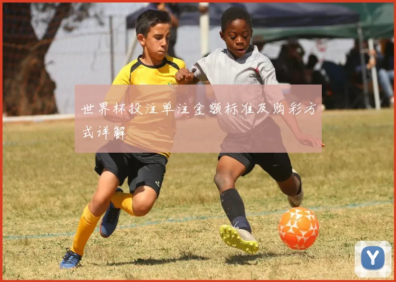 世界杯投注单注金额标准及购彩方式详解