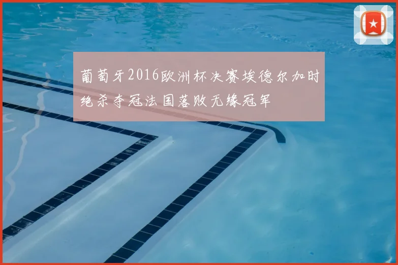 葡萄牙2016欧洲杯决赛埃德尔加时绝杀夺冠法国落败无缘冠军